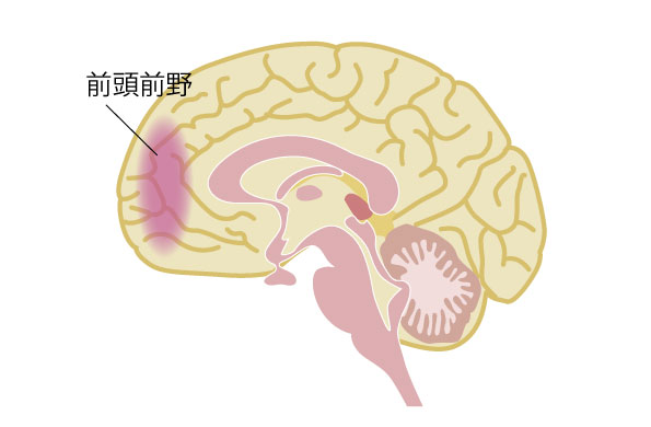 ADHD（注意欠陥・多動性）の子供のワーキングメモリを知る│発達障害・精神疾患支援チャンネル